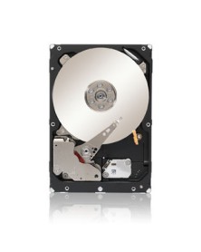 Seagate Constellation...