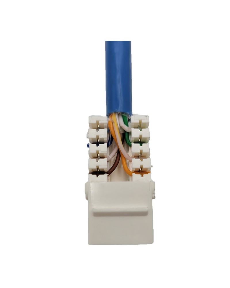 Micro Connectors CAT6 Unshielded Punch Down Keystone Jack with Tool ...